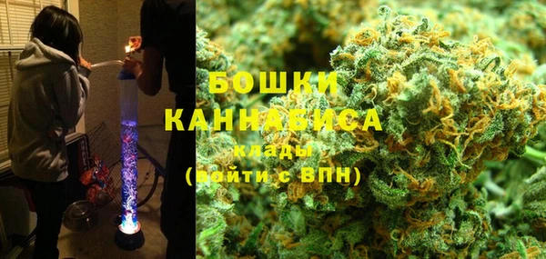 дмт Осинники