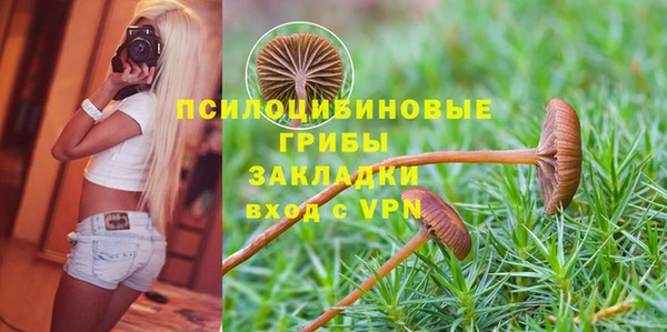 стаф Нязепетровск