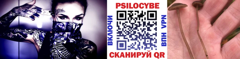 Купить закладки  Циолковский  Галлюциногенные грибы ЛСД 